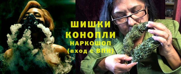 ГАЛЛЮЦИНОГЕННЫЕ ГРИБЫ Алзамай