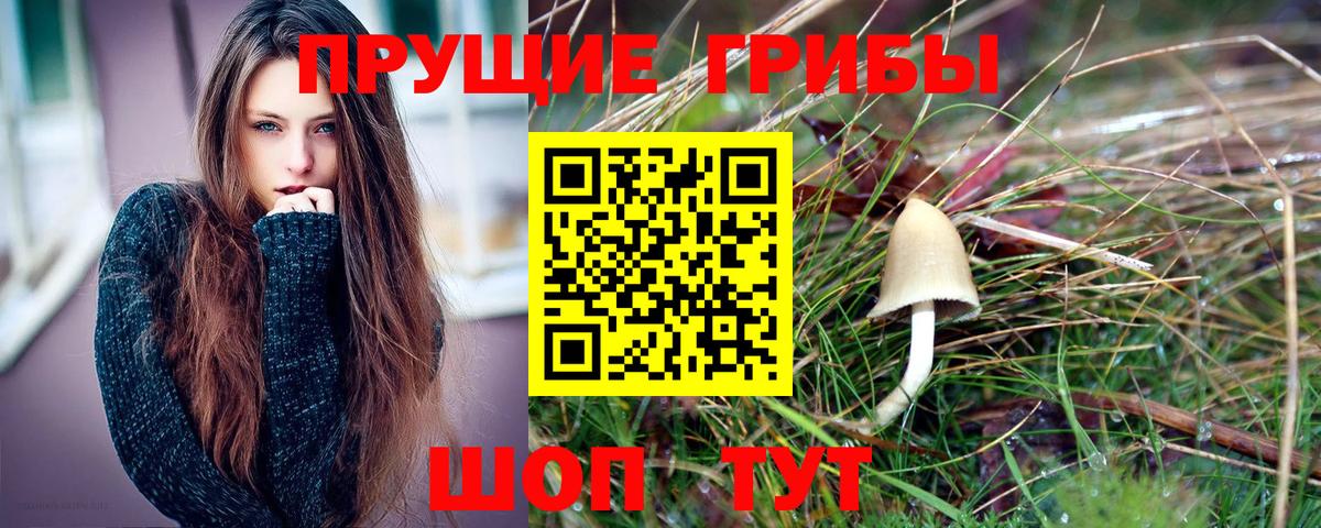 Галлюциногенные грибы Magic Shrooms Павловский Посад
